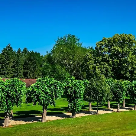 Penzion Le Manoir De Laferté-sur-Aube